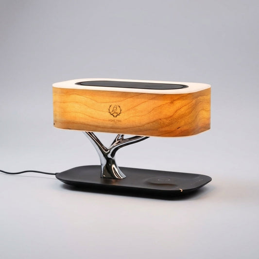 Multifunctional Desk Lamp