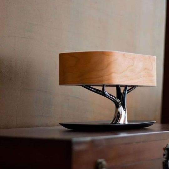 Multifunctional Desk Lamp